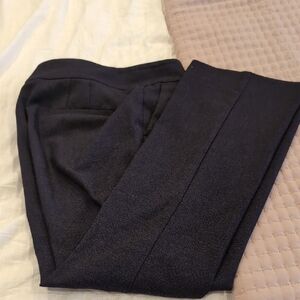 Ann Taylor Navy Blue Petite Pants